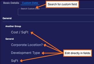 Edit custom field (1)